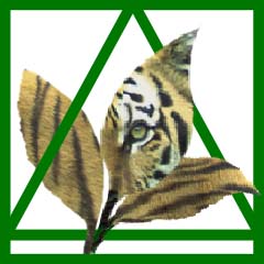 Tigerleaf image
