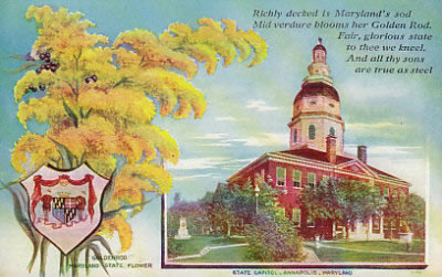 Go to Telling Them Apart - Maryland