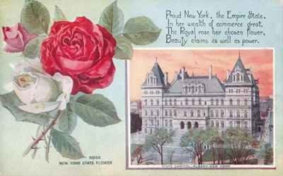 State flower and capitol series postcard