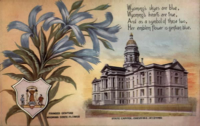 Wyoming state flower and state capitol